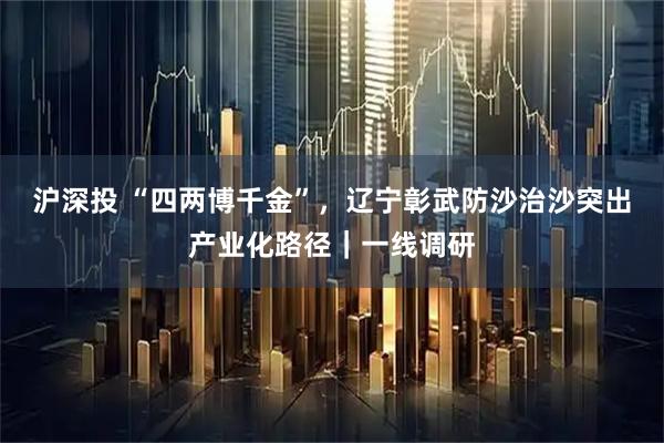 沪深投 “四两博千金”，辽宁彰武防沙治沙突出产业化路径｜一线调研