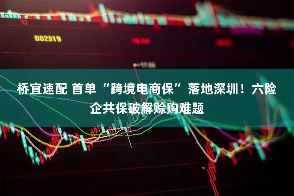 桥宜速配 首单 “跨境电商保” 落地深圳！六险企共保破解赊购难题