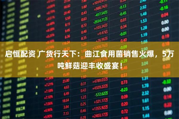 启恒配资 广货行天下：曲江食用菌销售火爆，5万吨鲜菇迎丰收盛宴！